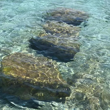 Gigaro View Sylvabelle