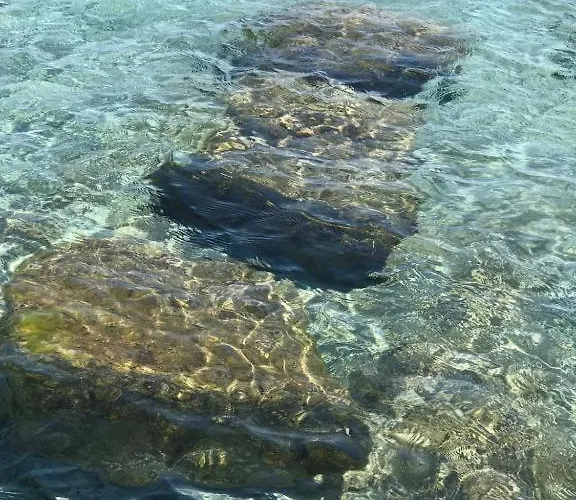 Gigaro View Sylvabelle